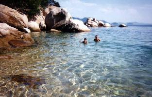 �����q�l