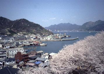 ���p����